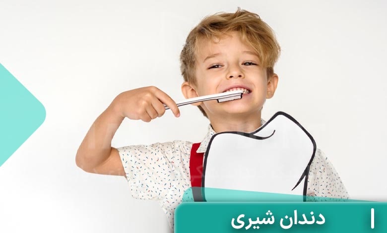 همه چیز در مورد دندان شیری