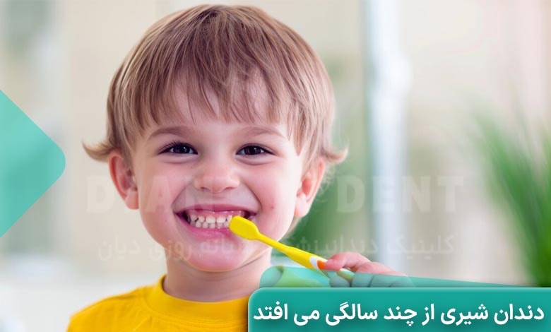 دندان شیری از چند سالگی می افتد