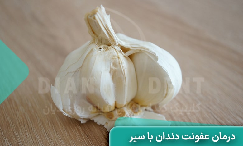 درمان عفونت دندان با سیر